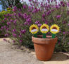 Sunflower markers in front of lavender bed
