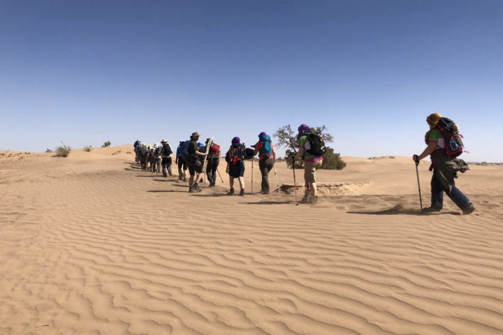 A group of trekkers in the Sahara
