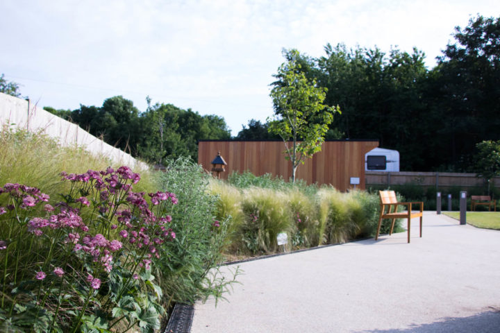 Pink flowers and grasses with bench and Arthur's Shed in background