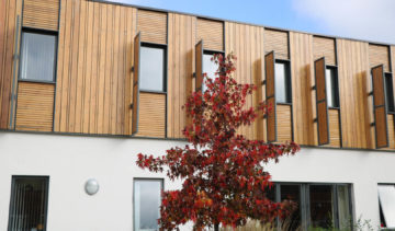 Russet leaves of an autumnal tree with building behind