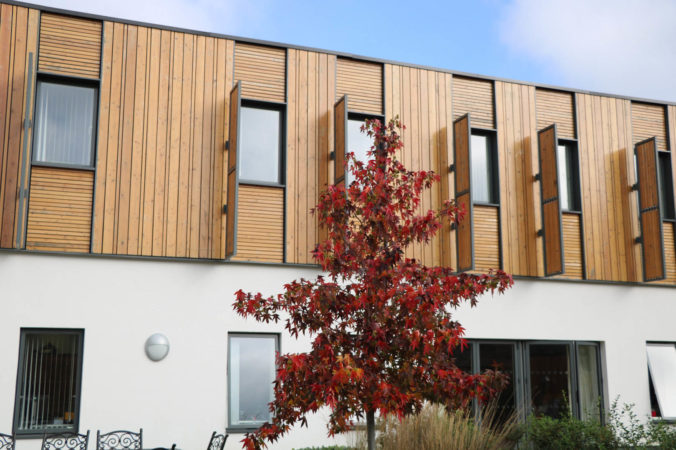 Russet leaves of an autumnal tree with building behind