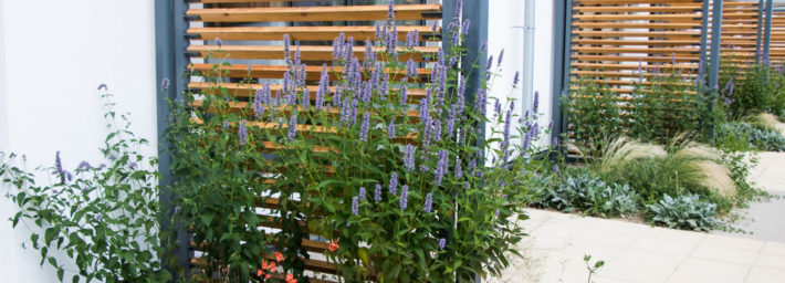 Screens between Inpatient Unit gardens