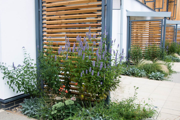 Screens between Inpatient Unit gardens