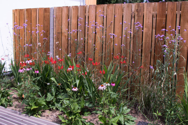 Red, purple, white and pink flowers in front of fence