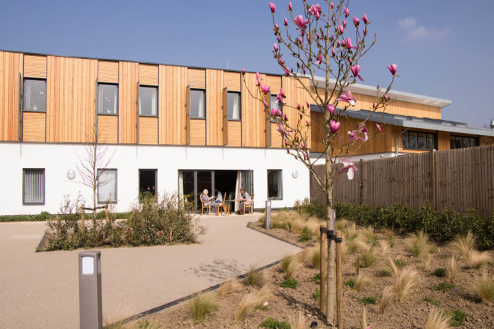 Young magnolia tree coming into bloom with visitors using Day Therapy seating area in background