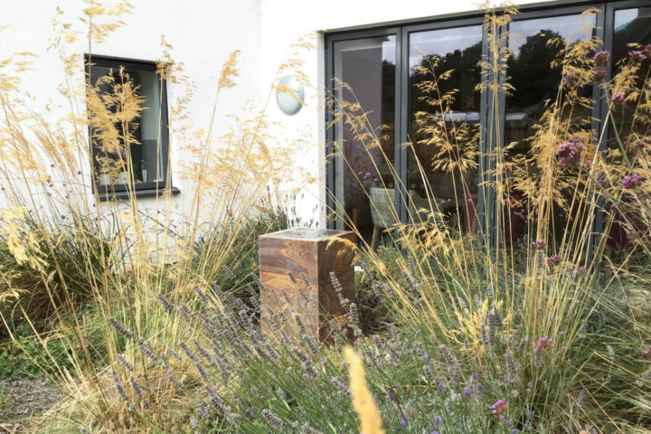 Water fountain among long grasses with Sanctuary behind