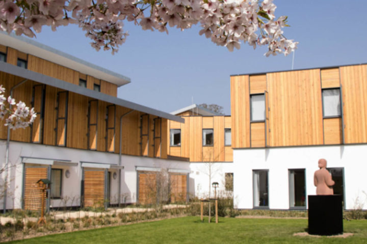 White building with half wood cladding and grass