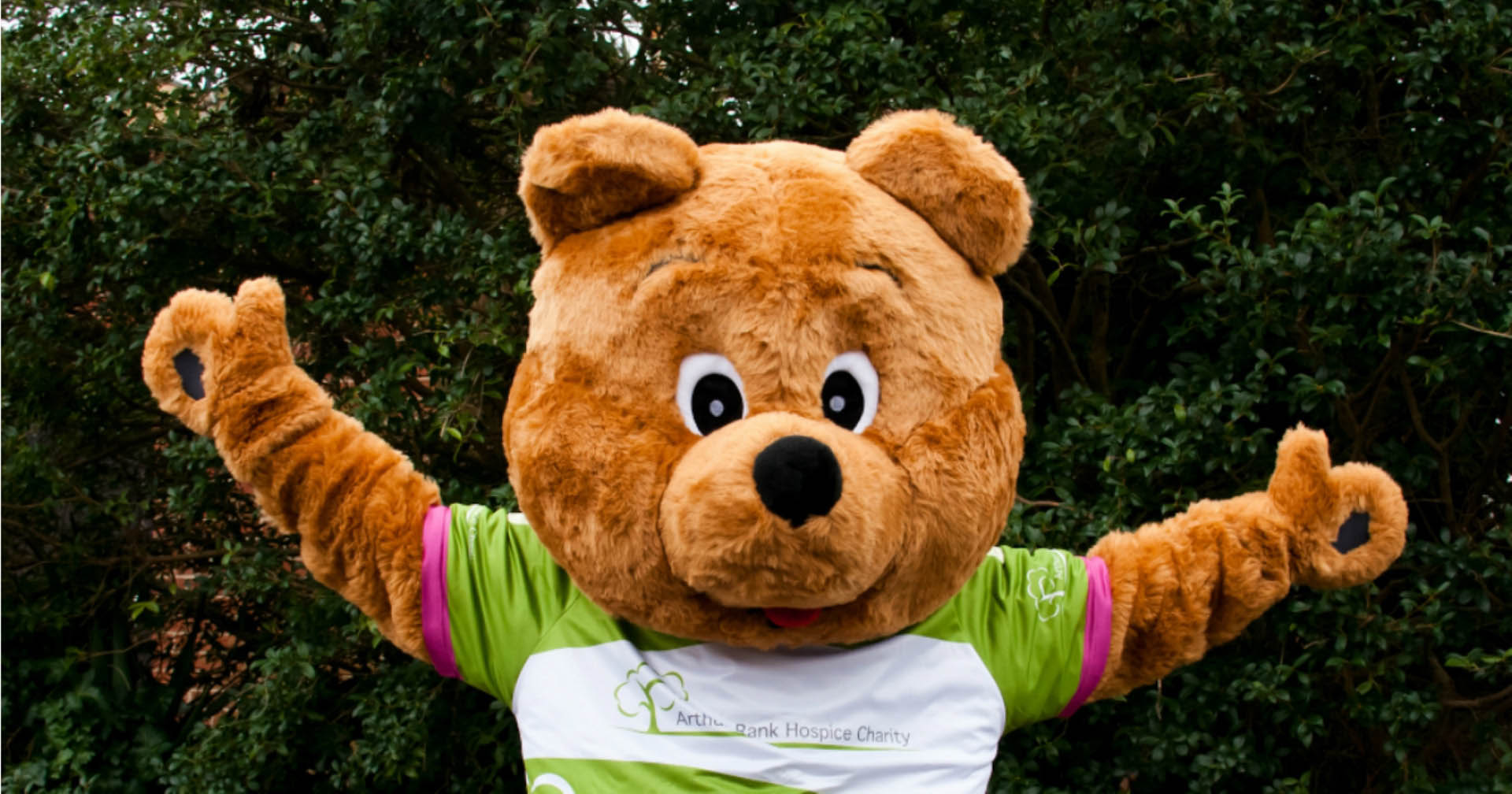 Meet Arthur Bear Banner Meet Arthur Bear Banner