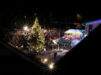 Christmas tree outside lit in the dark