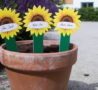Sunflower markers in pot with garden behind