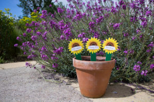A flower pot with 3 wooden sunflowers