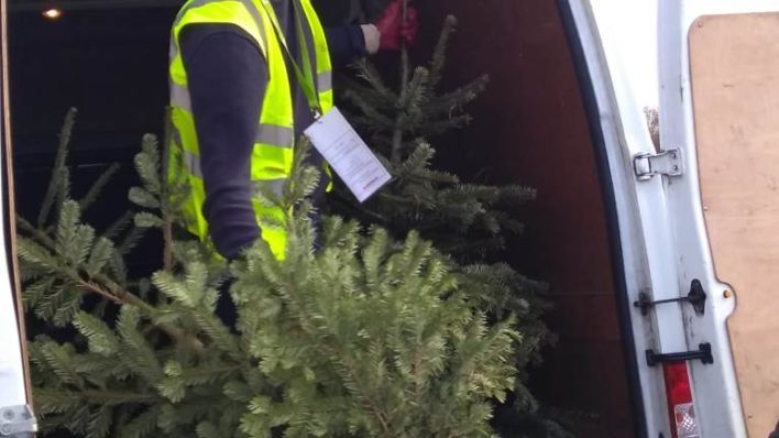 a male offloading a Christmas tree of a van