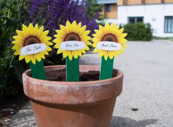 Sunflower markers in the Hospice's garden