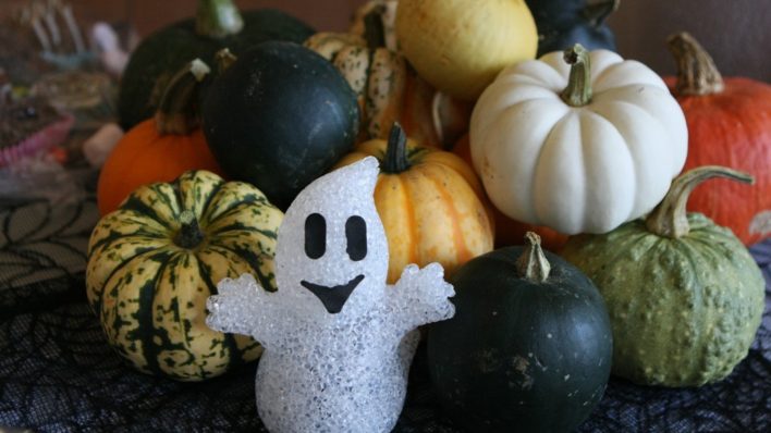 Halloween pumpkins for Transition work with Thorpe Hall and Arthur Rank Hospice