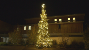 Stills from Arthur Rank Hospice Charity’s Light up a Life film premiere, which replaced the physical event this year. The film can be viewed across the festive period at arhc.org.uk/LUALfilm