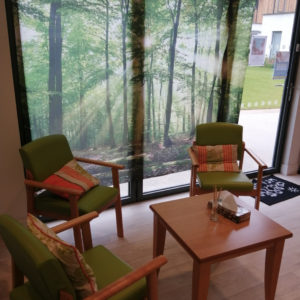 Arthur's Shed at Arthur Rank Hospice was transformed into a Garden Room for staff to relax during the COVID-19 lockdowns in 2020