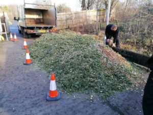 – The final stage of the process: chipped trees, ready to be used as mulch.