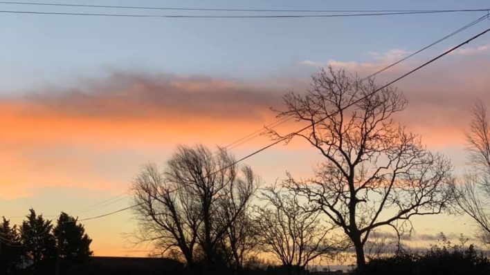 sunrise over trees