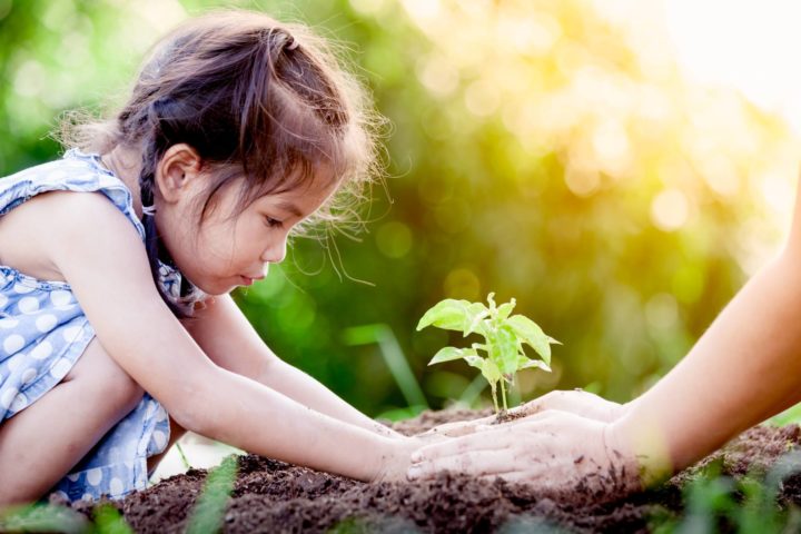 Parent's hands over those of a young girl tenderly planting shoot in freshly dug soil
