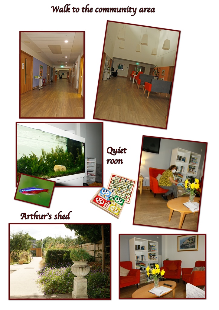 Collage of images Laine took of the Inpatient Unit, with titles 'Walk to the community area', 'quiet room' and 'Arthur's Shed'