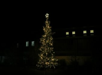 Christmas tree with yellow lights at night time