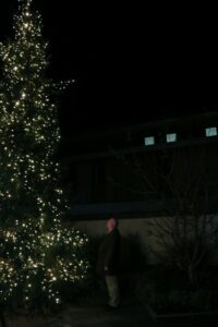 Tall Christmas tree with lights in the dark with a man looking up to the lights