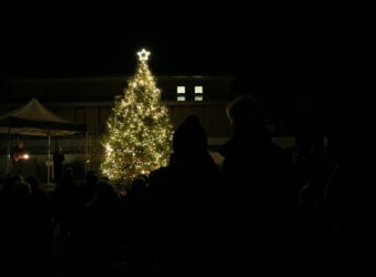 Christmas tree outside lit in the dark