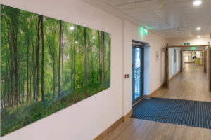 Large photo of woods hangs on the wall in the corridor of the Hospice