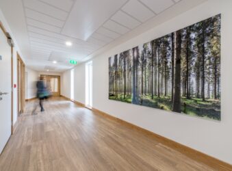 Large photo of the woods is displayed in the corridor