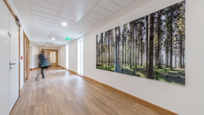 Large photo of the woods is displayed in the corridor