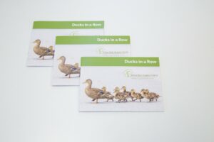 3 booklets with a pictures of a Mother duck and chicks