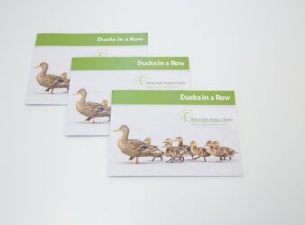 3 booklets with a pictures of a Mother duck and chicks