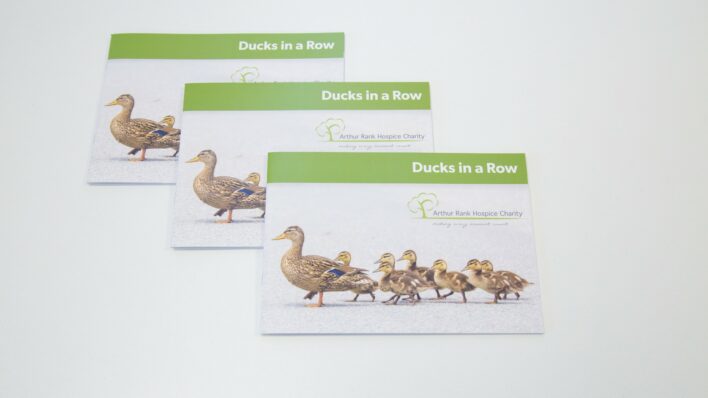 3 booklets with a pictures of a Mother duck and chicks