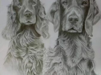 pencil drawing of 2 dogs