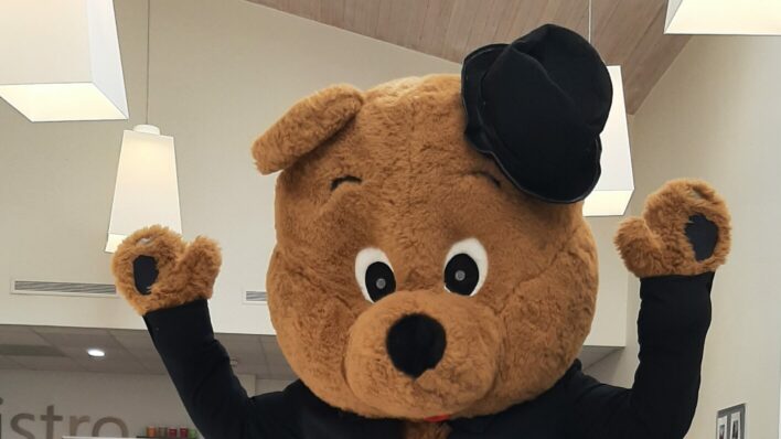 Life size bear with black jacket and birthday cakes and cards