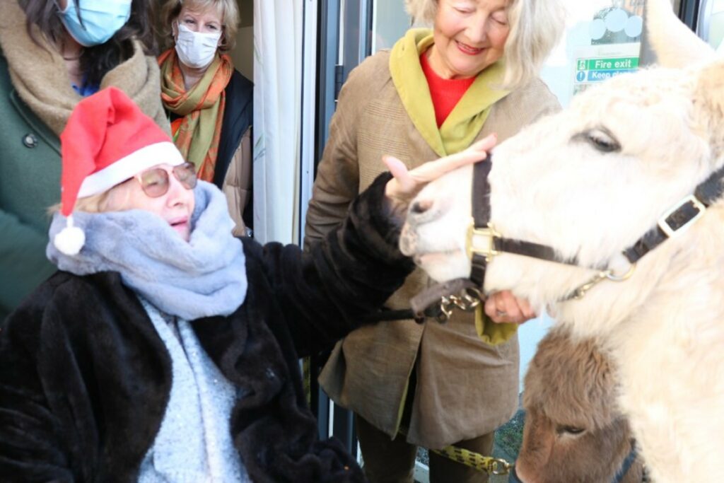 Female in wheelchair wearing Christmas hat and donkey 