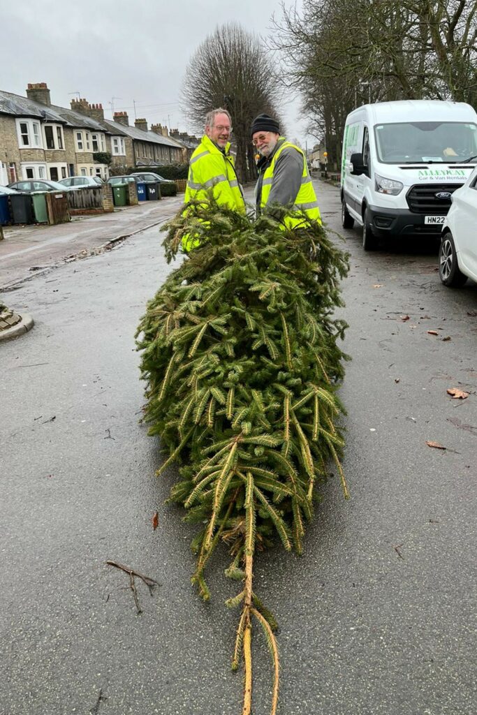 2 males with a large Christmas tree standing in the road 