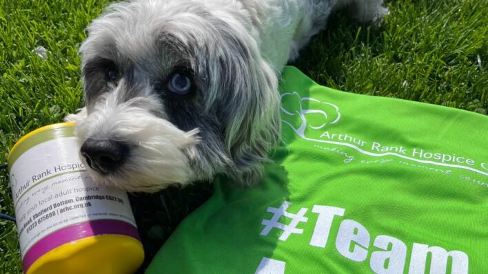 Pup with Team Arthur logo top and tin