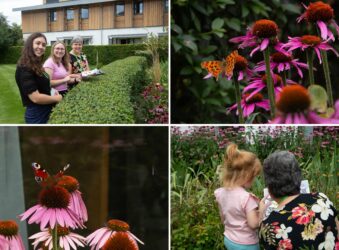 Females and a young girl and 2 butterflies in the Hospice garden