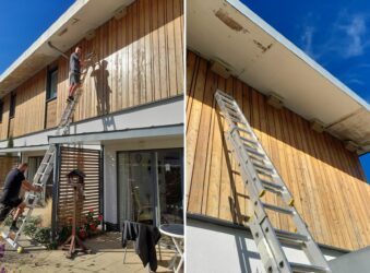 2 males climbing a ladder and swift boxes in eaves