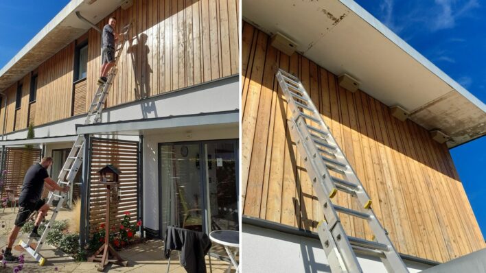 2 males climbing a ladder and swift boxes in eaves