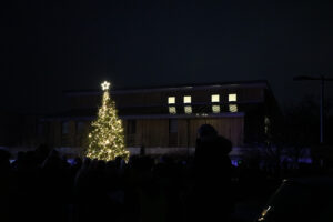 Huge Christmas tree with lights on. Crowd in darkness in front of the tree.