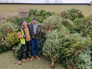 Two men standing in front of Christmas tree pile