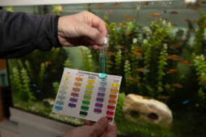 Coloured card and testing kit with aquarium 