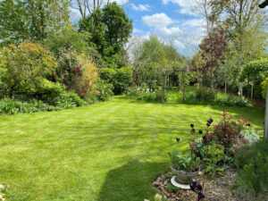A large lawn and trees and bushes around the edge
