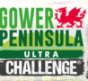 Gower Peninsula in green with red welsh dragon