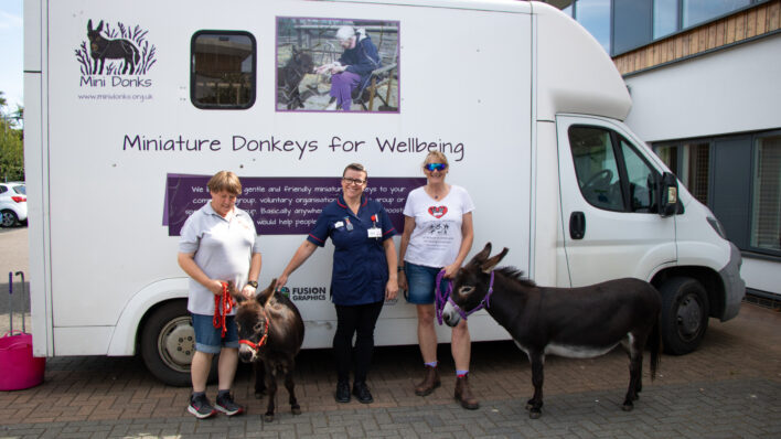White lorry and 3 females (including one nurse) with 2 donkeys