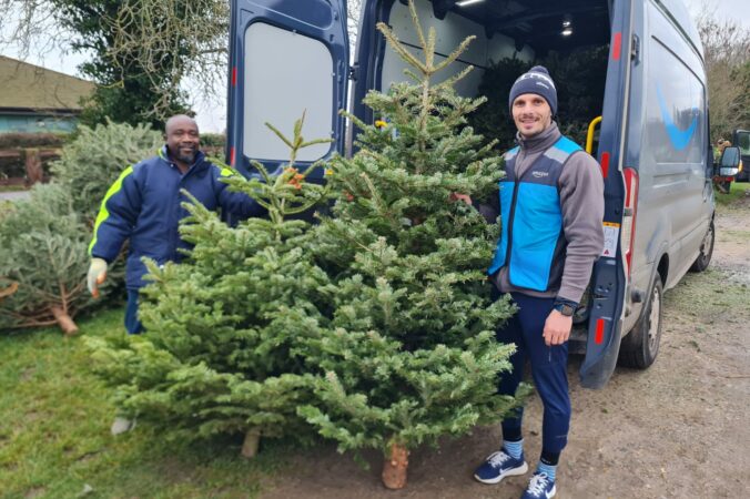 2 males with trees
