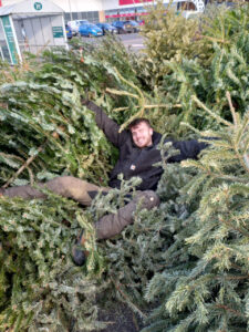 Male lying on Christmas Trees 