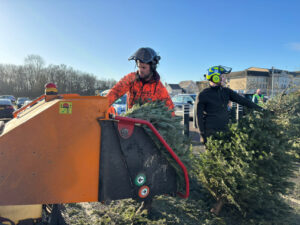2 males chipping trees 